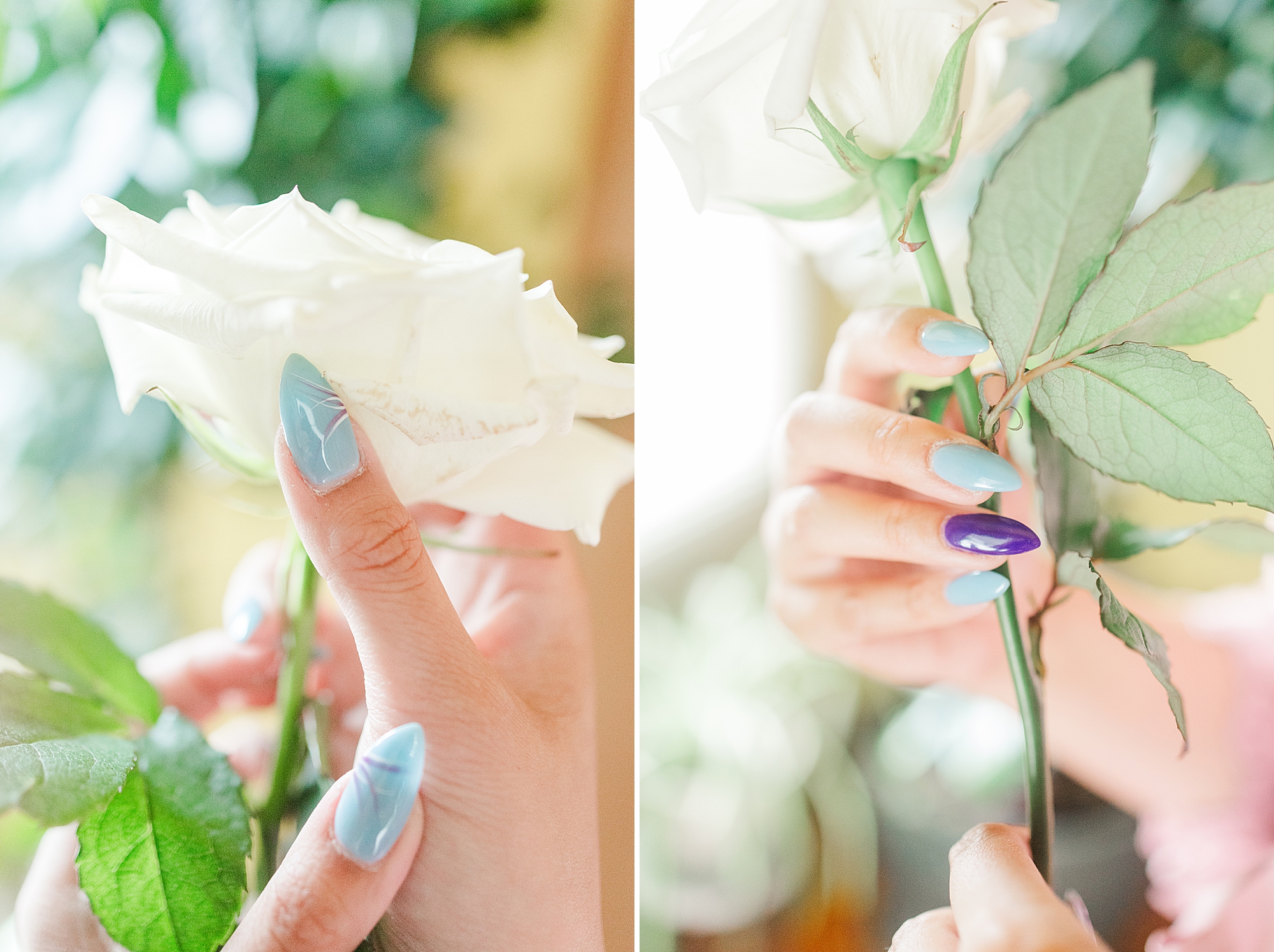 hand with painted blue nails holding a white flower