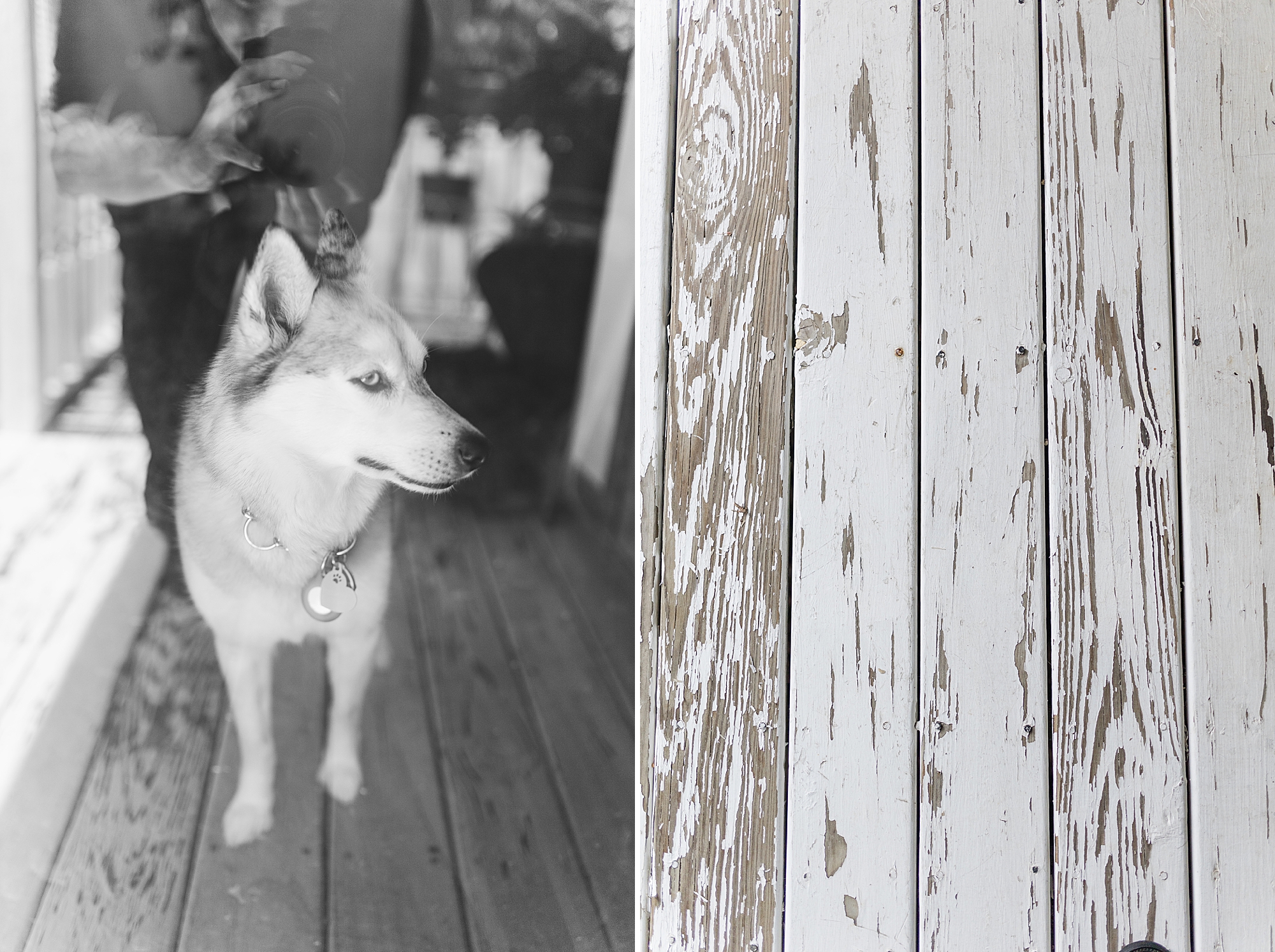 dog waiting by porch door 