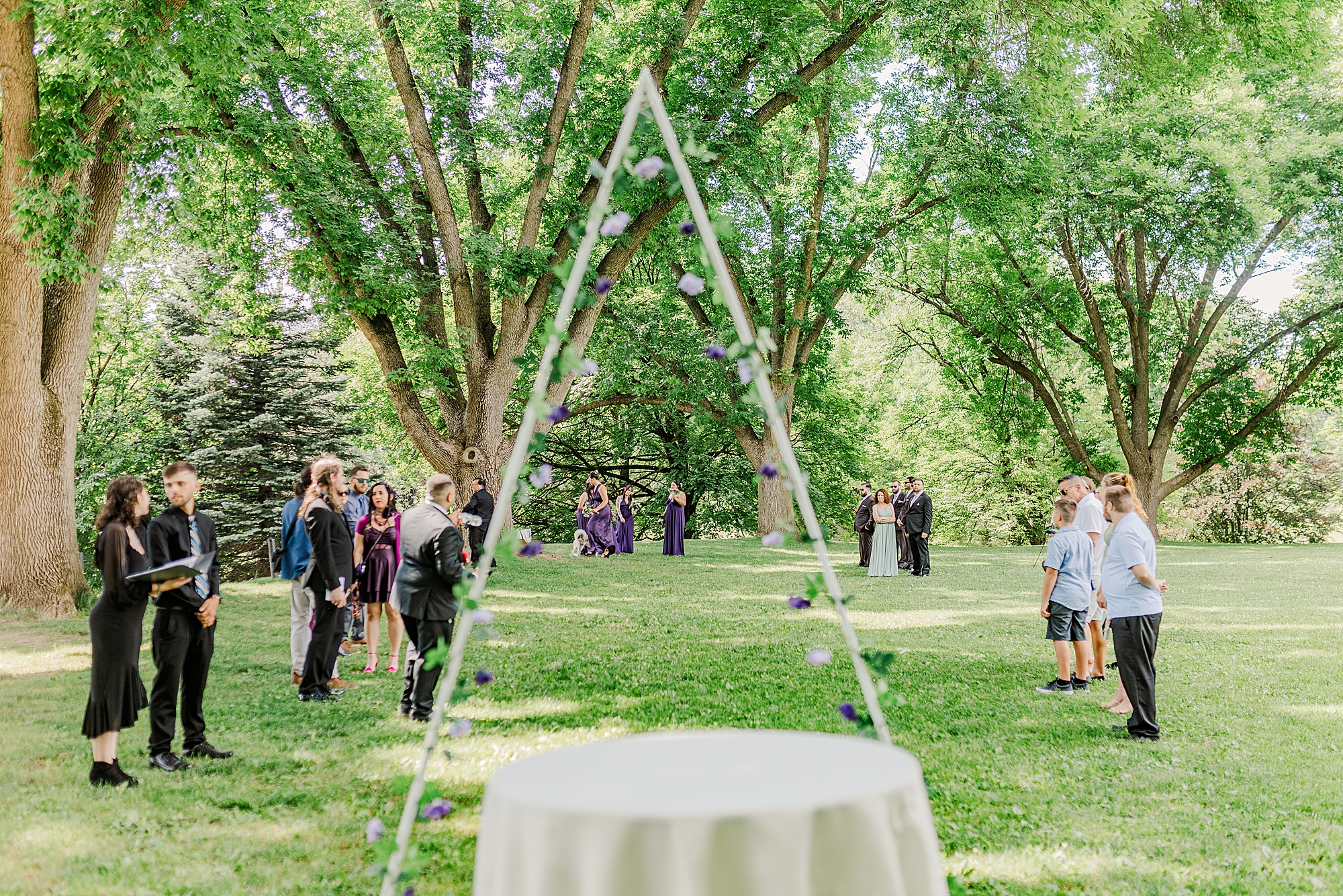 wedding arch and wedding guests with trees and greenery