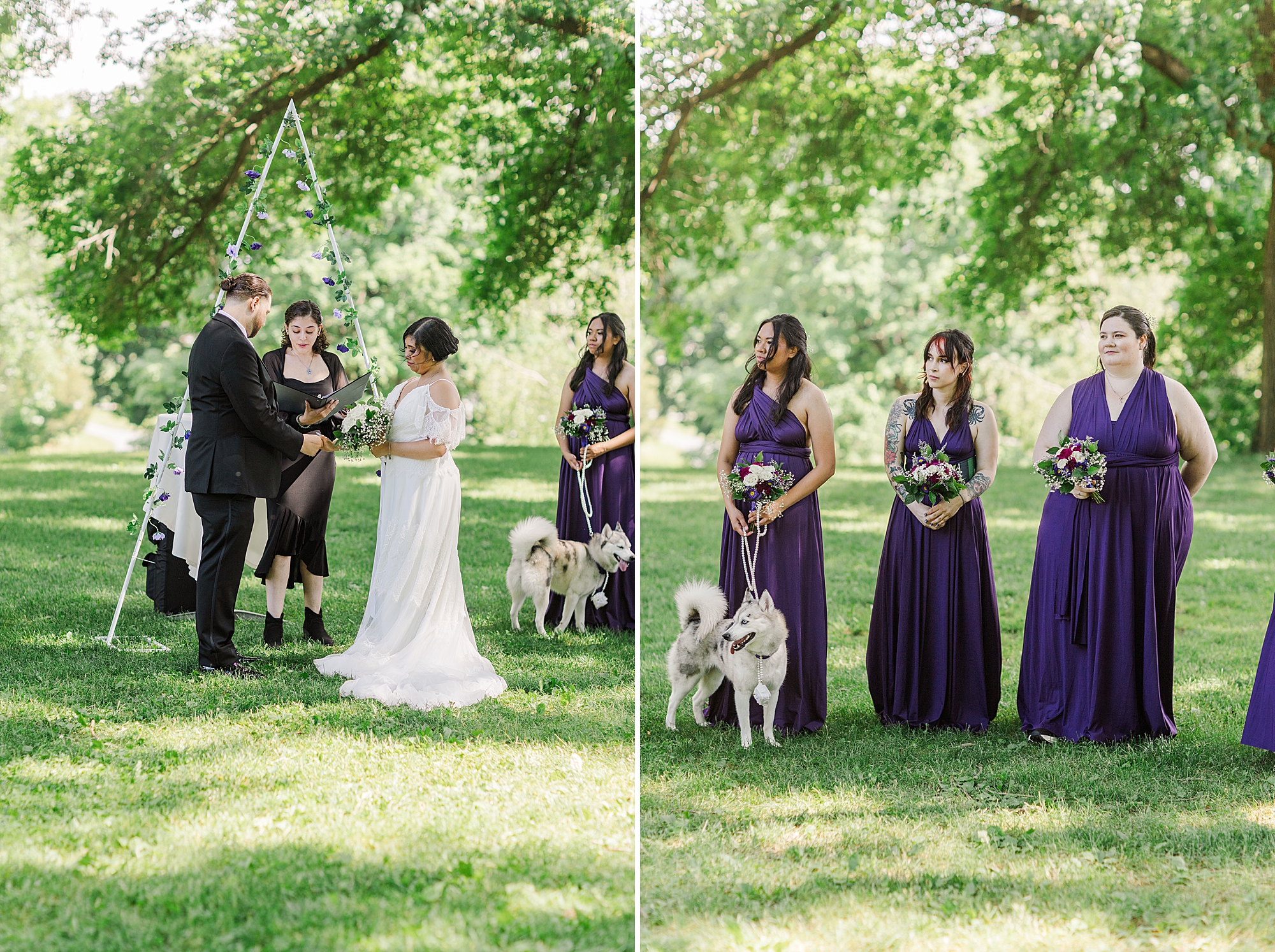 bride and groom with officiant and bridesmaids watching with dog