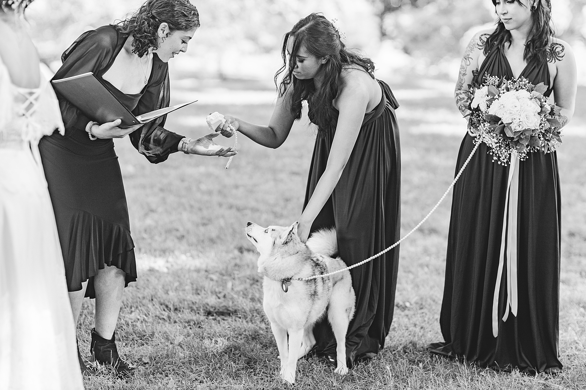 maid of honor handing officiant wedding bands while holding onto dog 