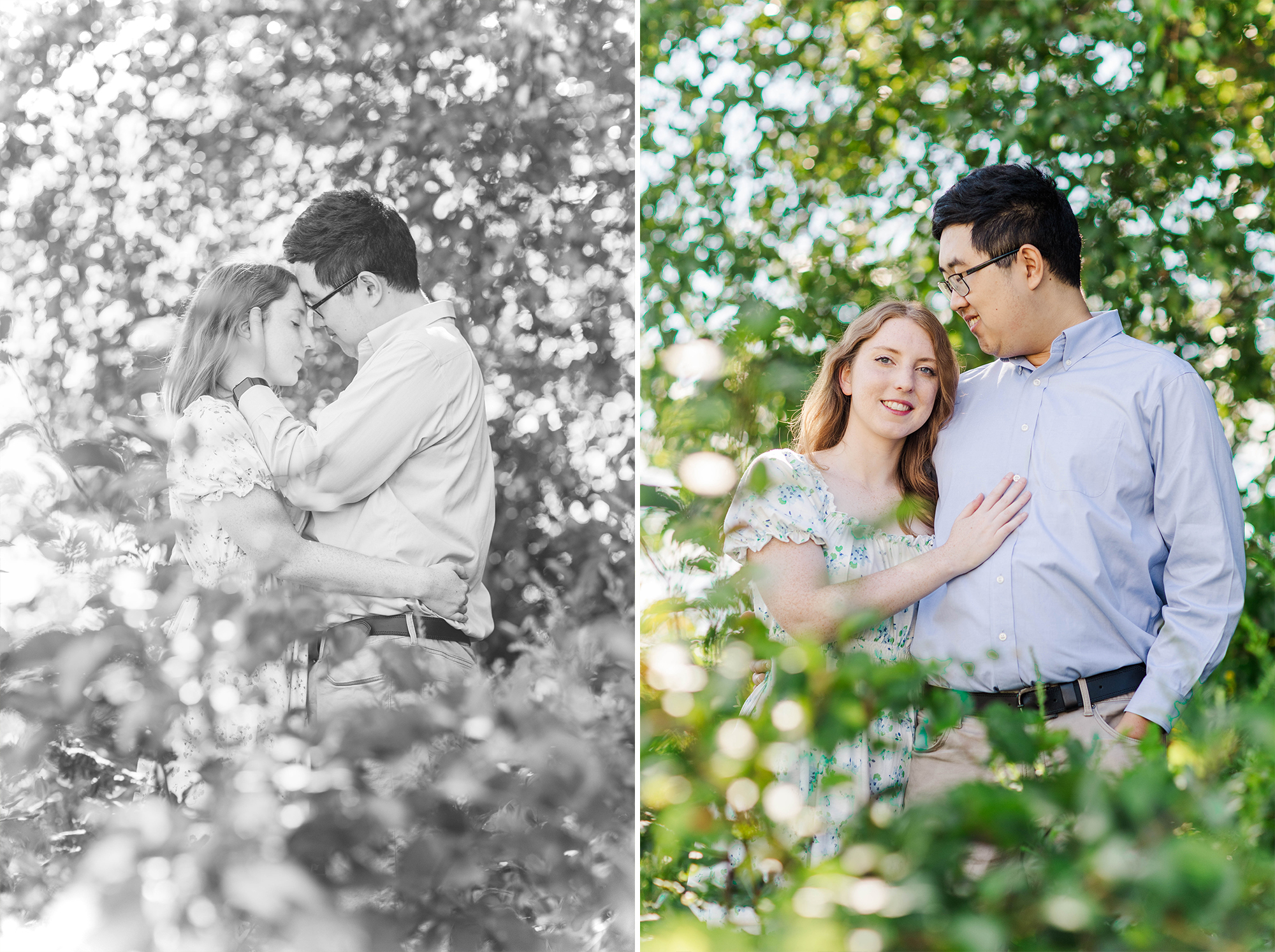 couple holding each other in tall grass 