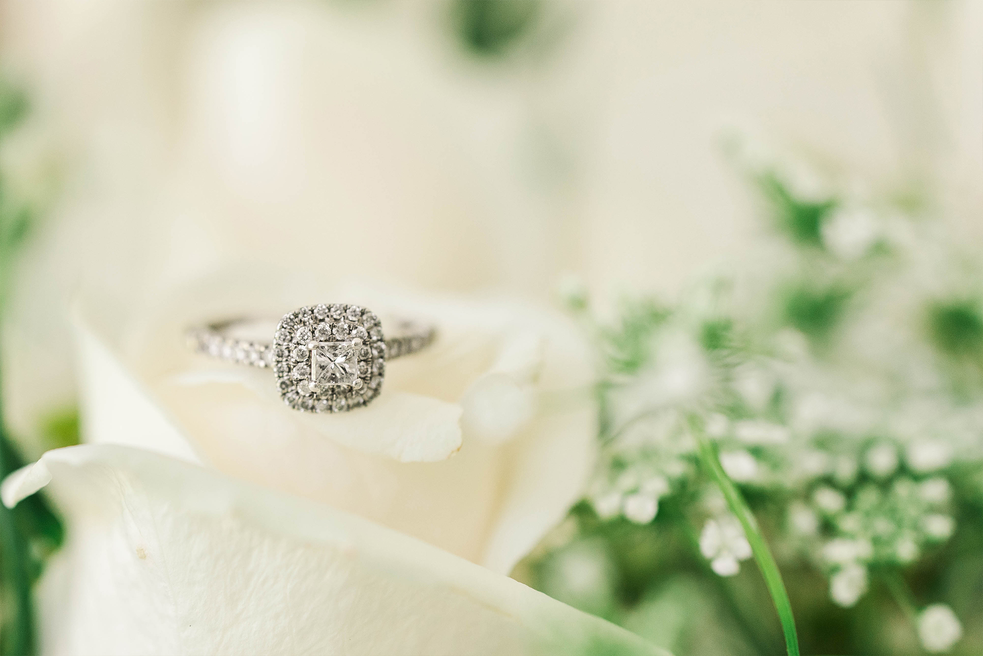 engagement ring sitting on top of flowers