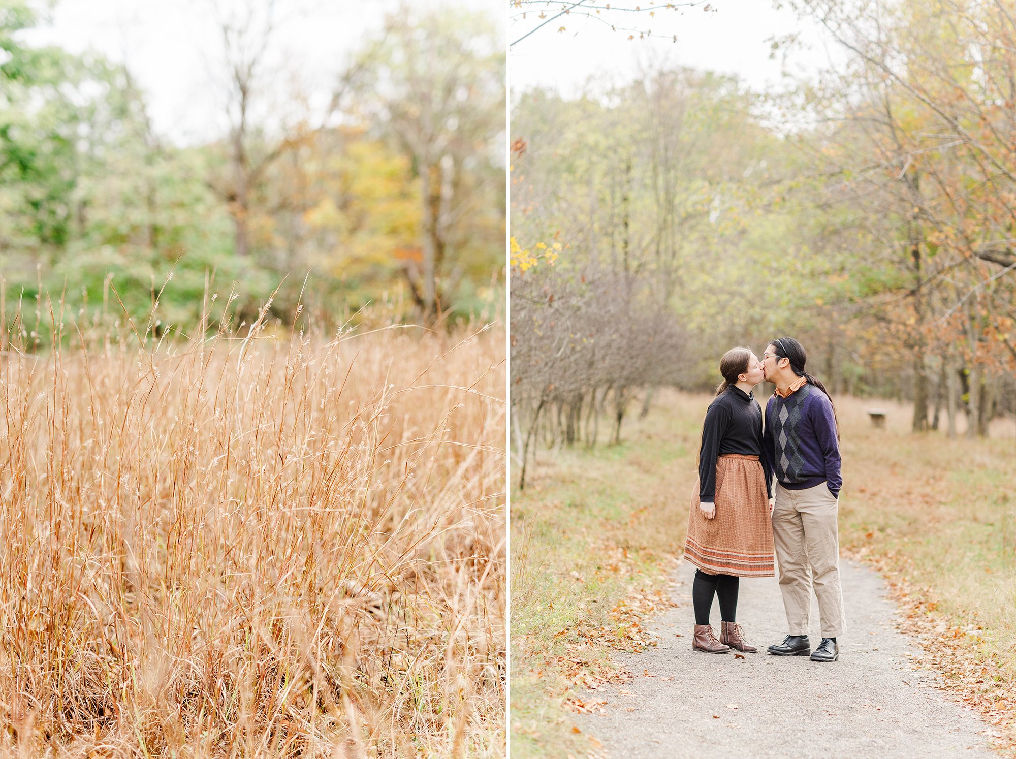 tall brown grass in park and couple sharing kiss on nature trail