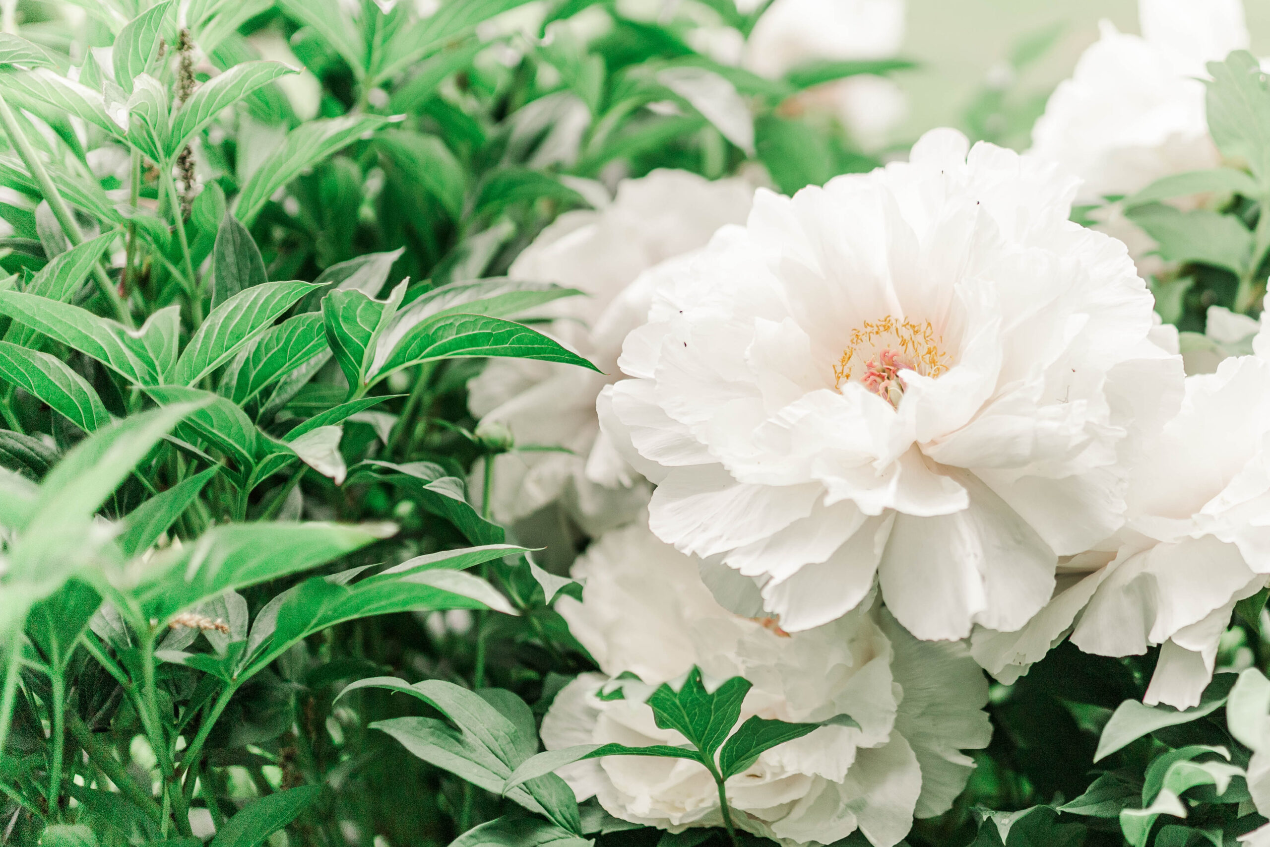 The Power Of Community | The Cantor Fitzgerald Story